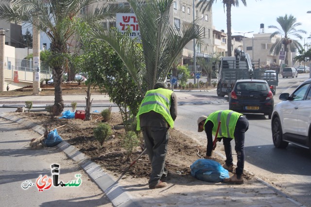 فيديو - كفر قاسم :  بعد النشر في قسماوي نت  البدء بالمراحل الاولى من البستنة والتشجير في جزر مدخل المدينة 